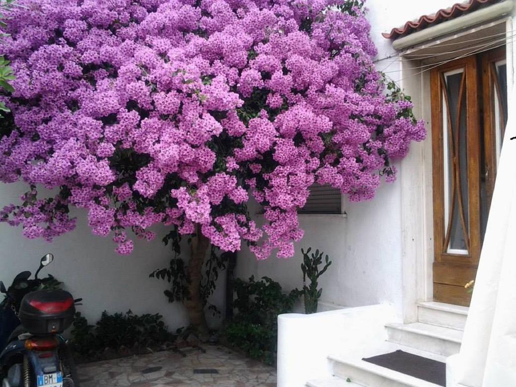 Villa Lea Viareggio Bilik gambar